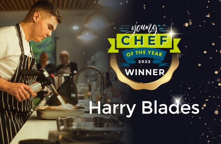 Harryblades 2