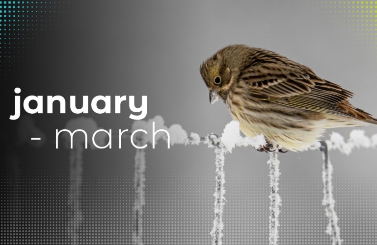 Janmarch2