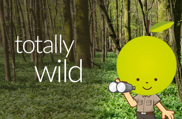 Totally Wild 1 4 Mob