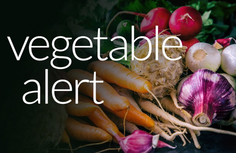 Veg Alertm