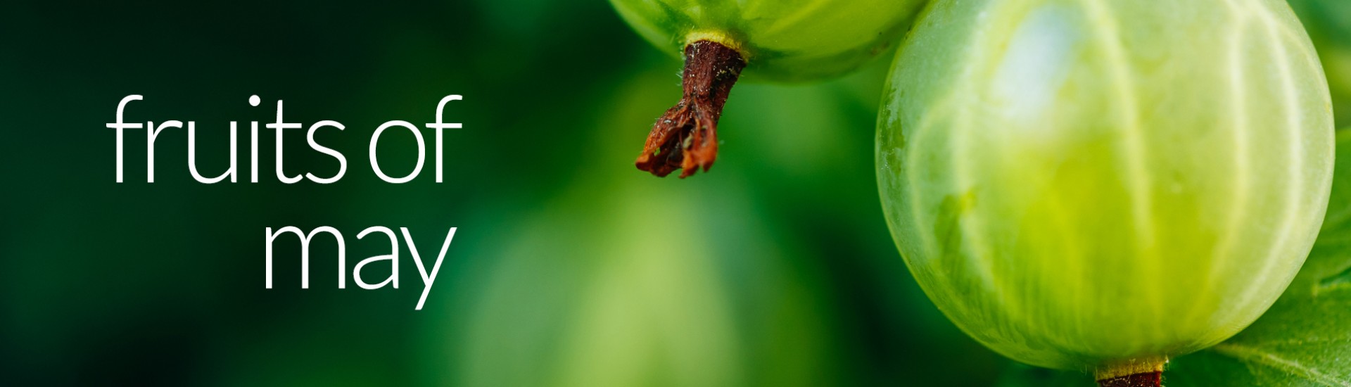 Fruits