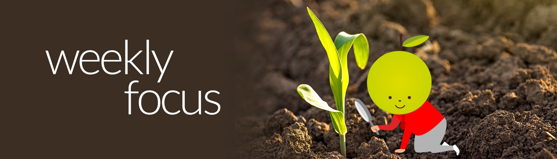 Weekly Focus