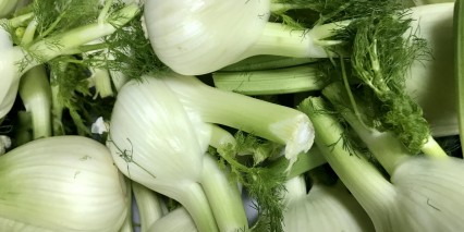 Fennel