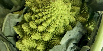 Romanesco