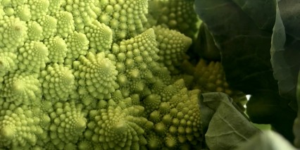 Romanesco1