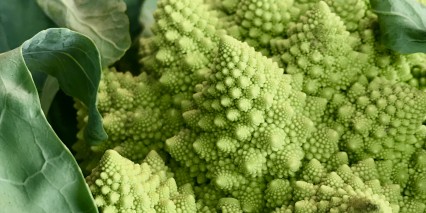 Romanesco3