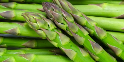Shutterstock 103527248