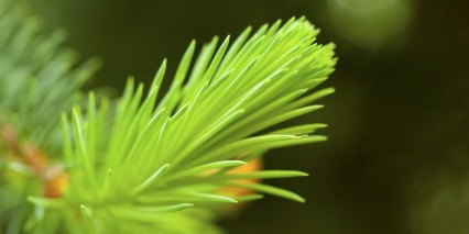 Shutterstock 177121148