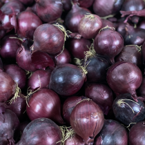 Red Onion 1