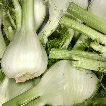 Fennel4