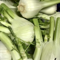 Fennel5