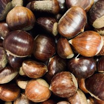 Freshchestnuts1