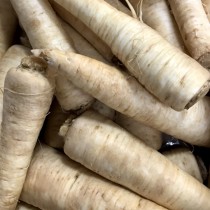 Parsley Root