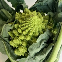 Romanesco