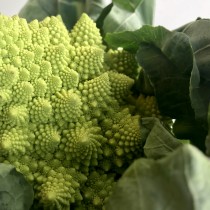 Romanesco1