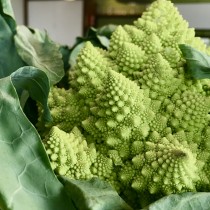 Romanesco3