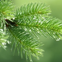 Shutterstock 108911636