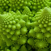 Shutterstock 129293279