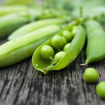 Shutterstock 673104469