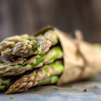 Shutterstock 673241461