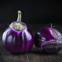Shutterstock 709443049