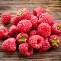 Shutterstock 94792165