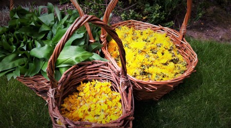 Baskets With Dandelion