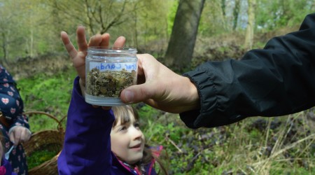 Child Enjoying Bramble Candy Web