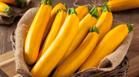Yellow Courgette3