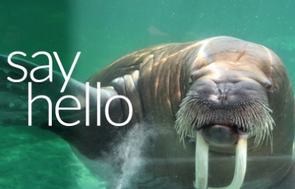 Sayhellogrid