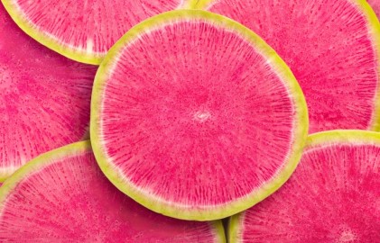 Shutterstock 15190991151