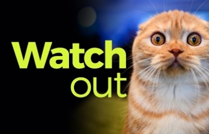 Watchg