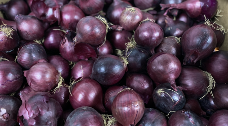 Red Onion 1