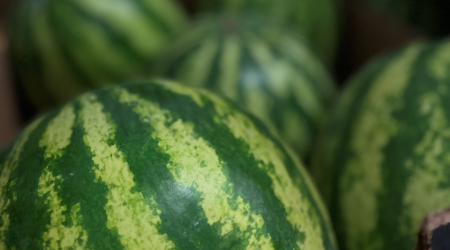 Watermelon4