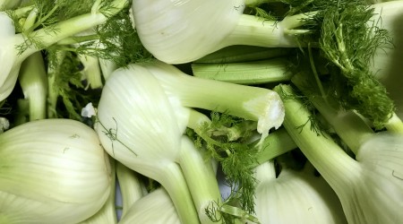 Fennel7