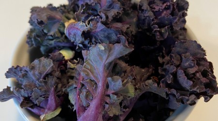 Kalettes1