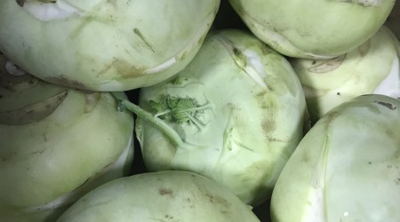 Kohlrabi