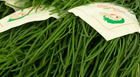 Monks Beard