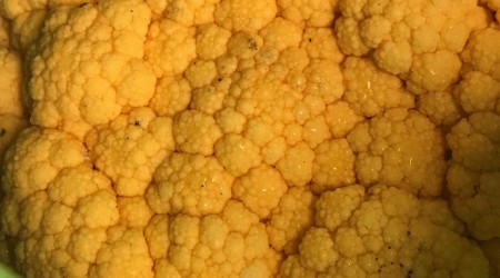 Orange Cauli