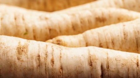 Parsley Root