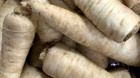 Parsley Root