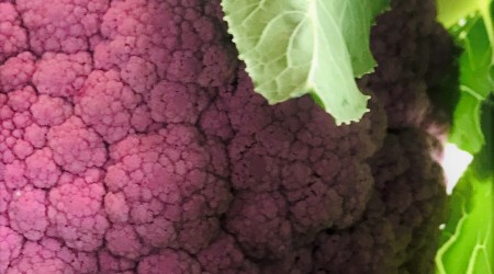 Purple Cauli