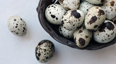 Quail Eggs Norfolk