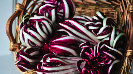 Radicchio