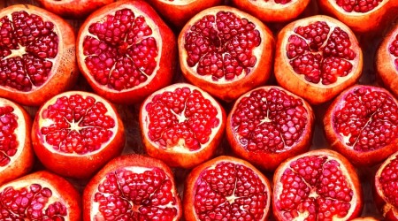 Shutterstock 10733381787