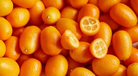 Shutterstock 1145910953