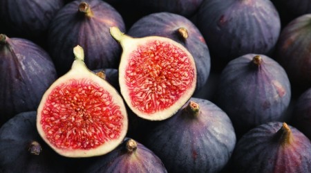 Shutterstock 11948959782
