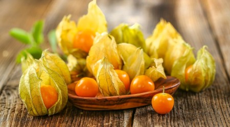 Shutterstock 1898761969