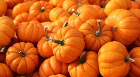 Shutterstock 5628954371