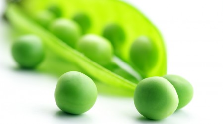 Shutterstock 58790422